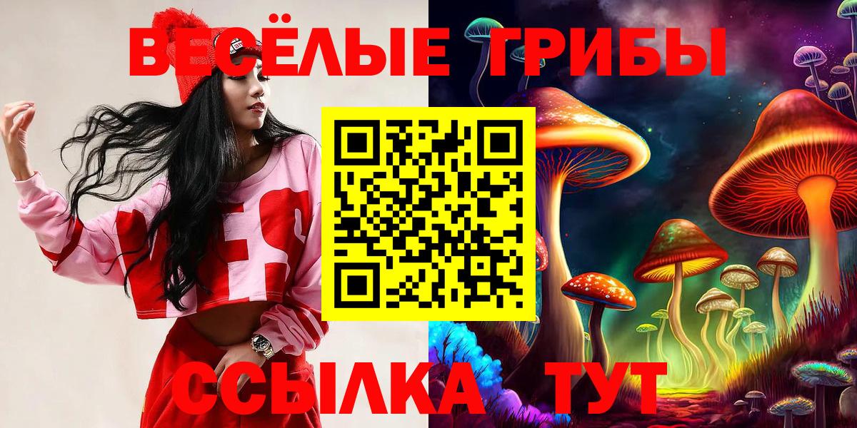 Анапа  Псилоцибиновые грибы мицелий  Вход с VPN 