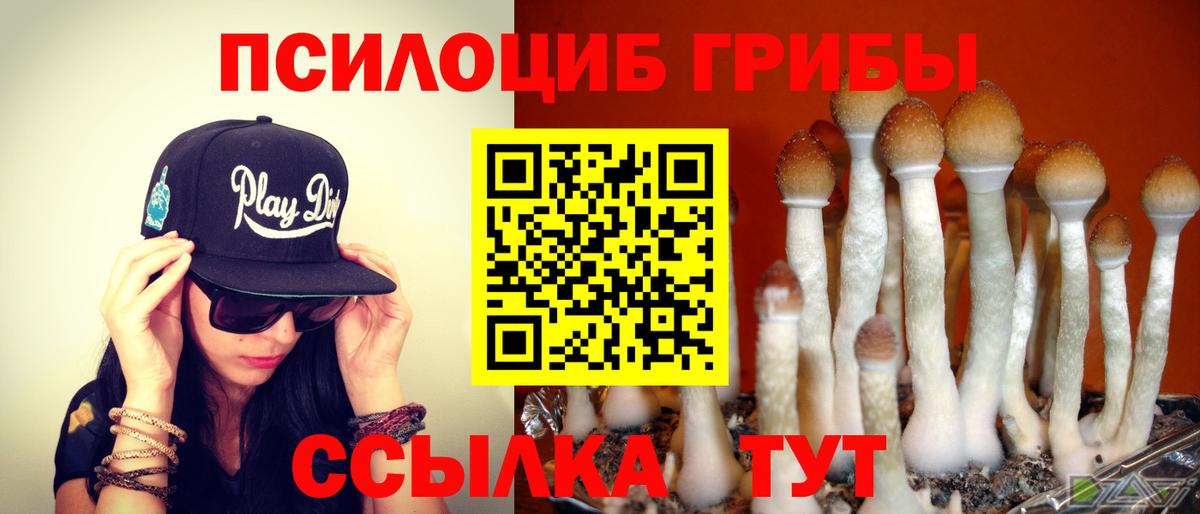 Псилоцибиновые грибы GOLDEN TEACHER Анапа