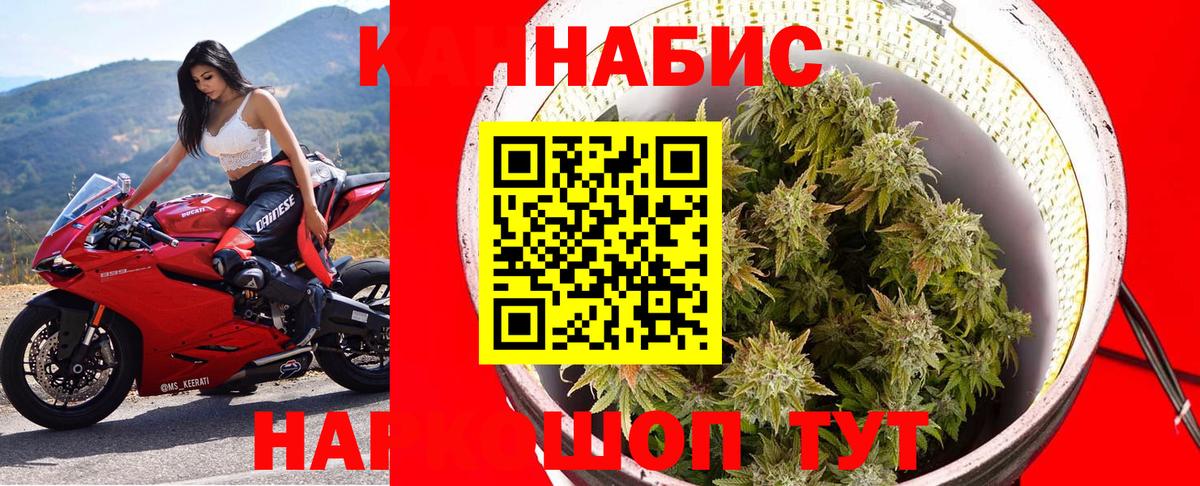 Конопля Bruce Banner  МАРИХУАНА Bruce Banner  Вход с VPN  Конопля SATIVA & INDICA  Анапа  Бошки Шишки SATIVA & INDICA 